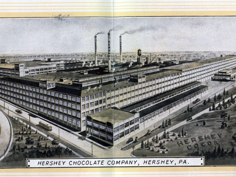 The Chocolate Company